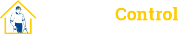 Pest control services in Pune