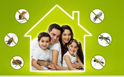 Best Pest Control for Bed bugs in Pune